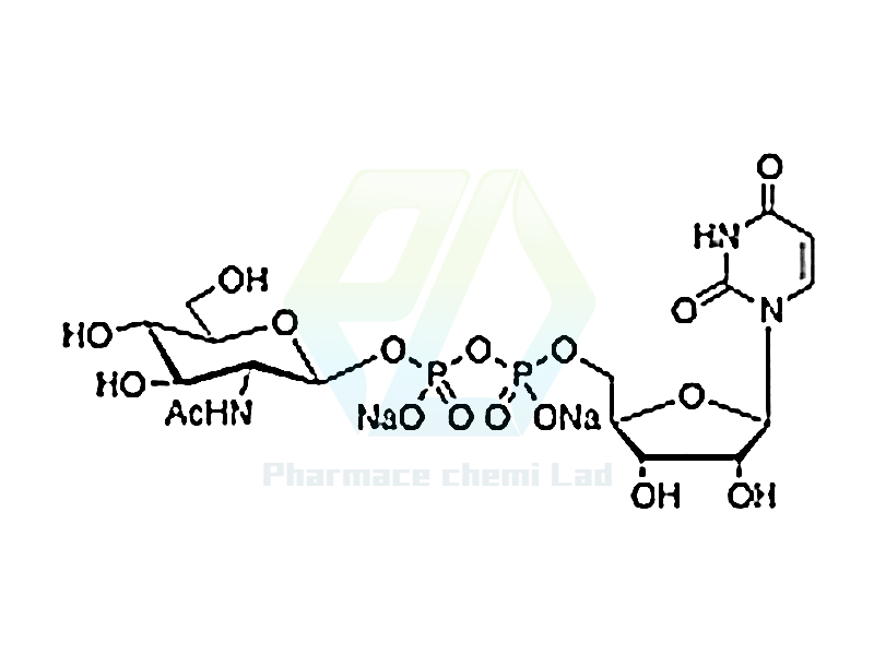 Uridine 5’-Diphospho-N-acetylglucosamine Disodium Salt